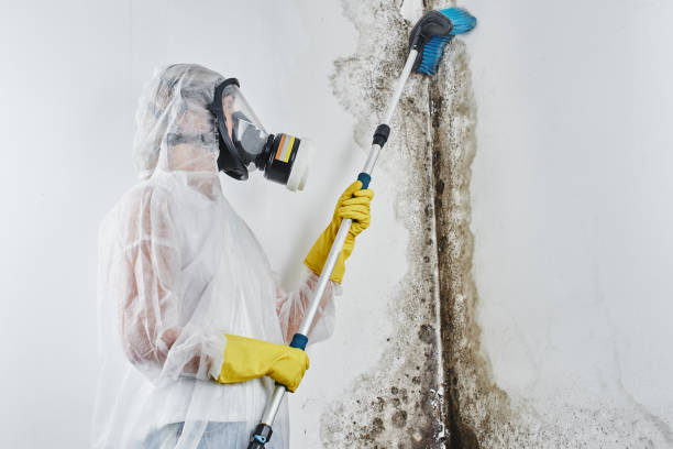 Sewage cleanup and water damage restoration in Eidson Road, TX